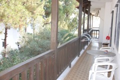 DSC_0355